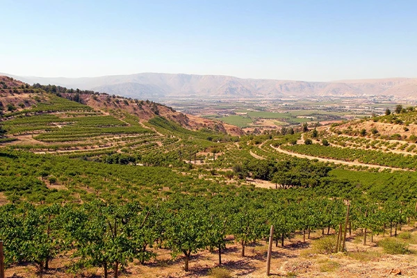 libanon-foto-2