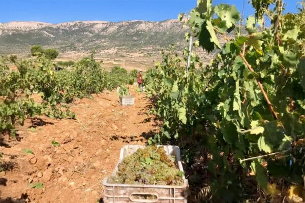 libanon-foto-5