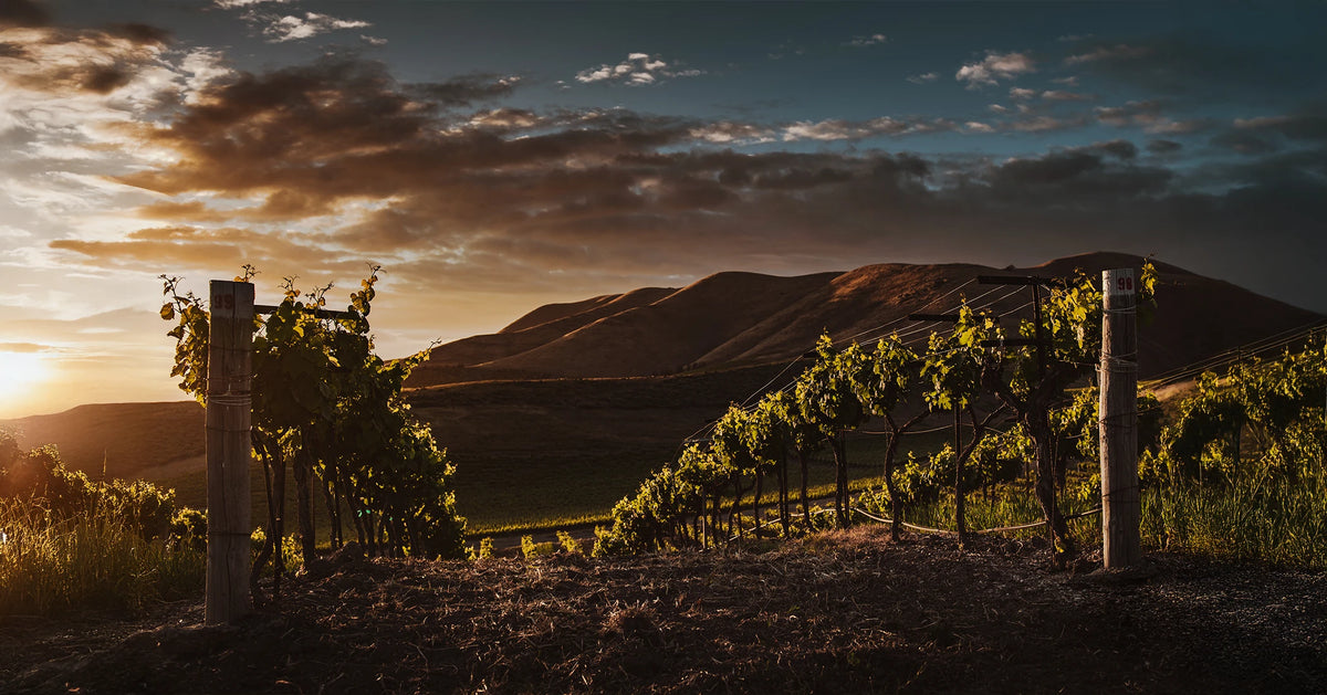 Armenië