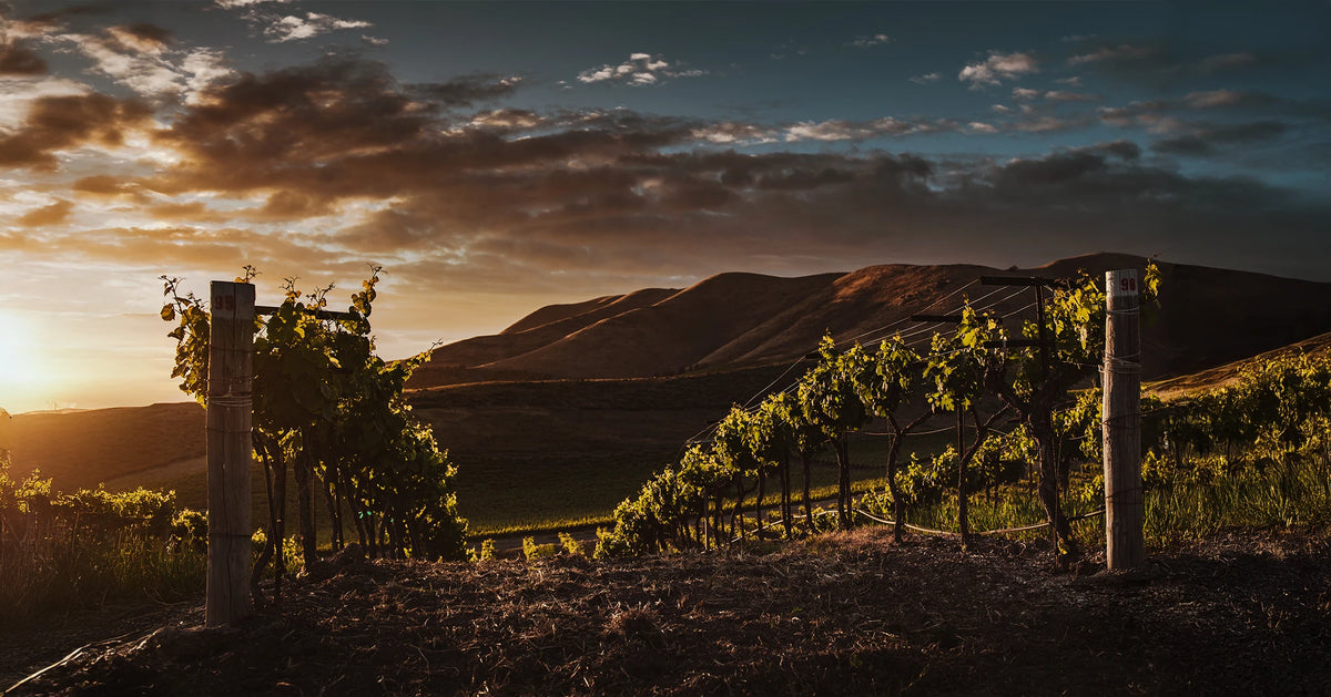 Parsi Wines