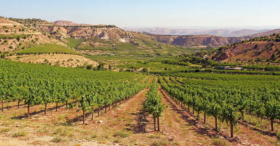 Libanon