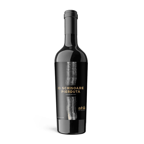 ATU Poets O Scrisoare Pierduta - Codrinschii 2020 – fles