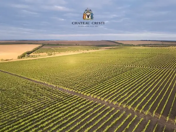 foto-chateau-cristi